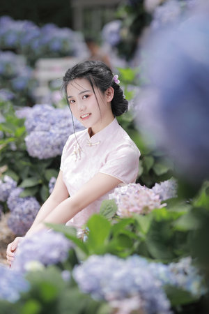 3D柔铺团之极宝乐鉴宝鉴电影中文在线观看